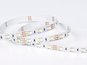 Strisce LED CCT Regolabile